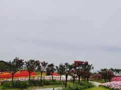 -东平国家森林公园