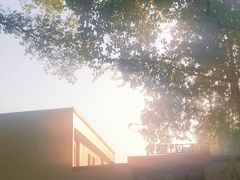 -食膳公园包子铺(烈士公园店)