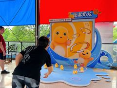 -杭州浪浪浪水公园