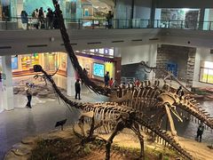 -自贡恐龙博物馆