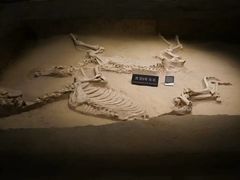 -洛阳周王城天子驾六博物馆