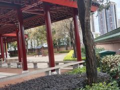 -广东圆玄道观