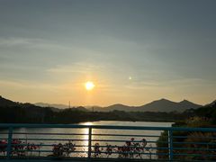 -东南花都花博园