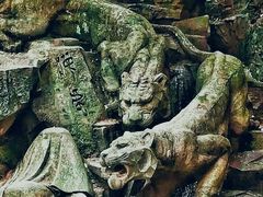 -虎跑公园