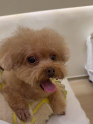 -欧缇娜美甲美睫皮肤管理