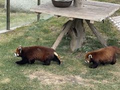 -水上乐园·欢乐世界