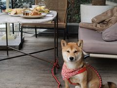 -the rug 飞毯 (朝阳公园店)