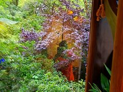 -南宋胡记(杭州灵隐寺店)