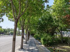 -大兴滨河森林公园