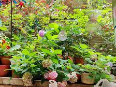 -鱼乐岛餐厅·户外花园主题餐厅