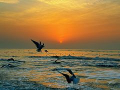 -老虎石海上公园