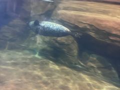 -福州罗源湾海洋世界旅游区