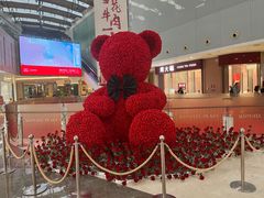 -皇庭广场(福华三路店)
