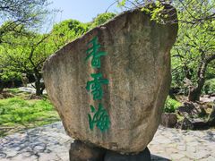 -香雪海