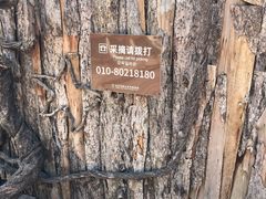 -呀路古热带植物园
