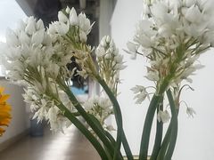 -沙溪兄茶餐厅