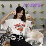成都猫咖｜撸猫只有一次和无数次