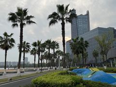 -金沙湖公园