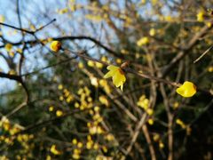 -南京市江宁方山