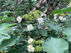-白草畔自然风景区