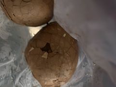 -金盆阿嬷香菇茶叶蛋(玄光店)