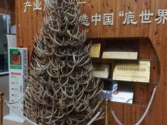 -北京鹿世界主题园