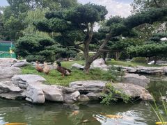 -扬州瘦西湖温泉