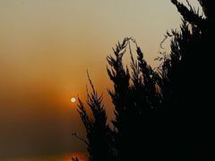 -青岛海尔洲际酒店