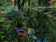 -上海共青森林公园