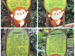 -大岭沟猕猴桃谷风景区