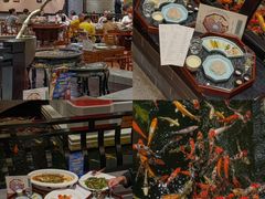 -龙悦湾酒家·八阵鱼生·渔人码头店