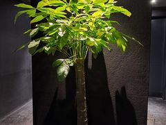 -成都观隐颐云台酒店-芳菲秀