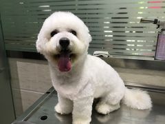 -暖阳宠物医院·犬猫康复中心·骨科