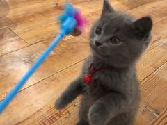 -么么咖啡(燕郊店)