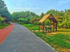 -大兴滨河森林公园