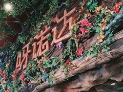 -呀诺达热带雨林