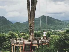 -大树秋千