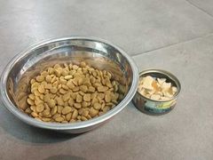 -宠物之家Pets Home 宠物寄养酒店