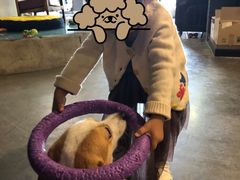 -百好乐宠物友好餐厅(朝外大街店)