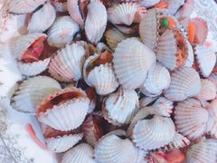 血蛤-金源山海一味(万科早城店)