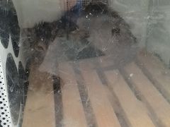 -嘉馨宠物医院·CT影像转诊·心脏科·犬猫全科诊疗中心(下沙大学城院区)
