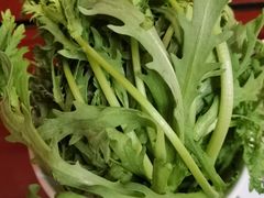茼蒿-阳坊大都涮羊肉(阳坊总店)