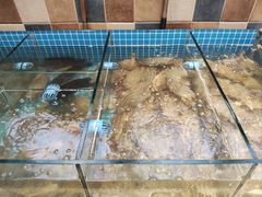 -妈妈菜舟山海鲜(定海古城店)