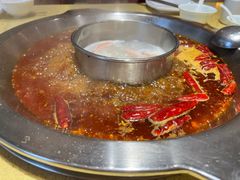 -田鸭肠·非遗火锅(彭州店)