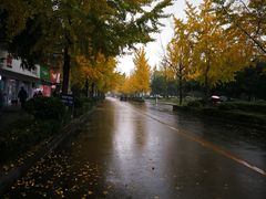 -四川大学(望江校区)