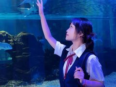 -常州海昌海洋探索馆