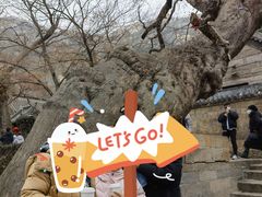 -青岛崂山太清宫