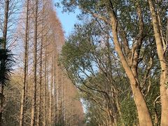 -同里国家湿地公园