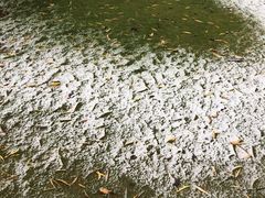 -南京奥林匹克体育中心-体育馆