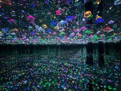 -上海梵高星空艺术馆(南京路旗舰店)